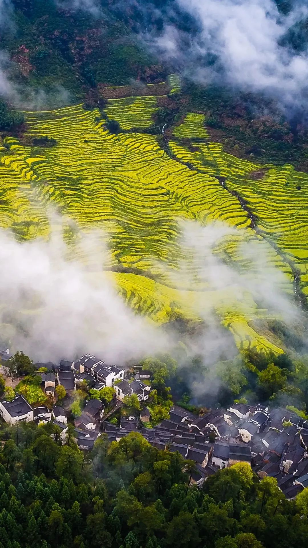 赣鄱大地，江西的自信之歌奏响